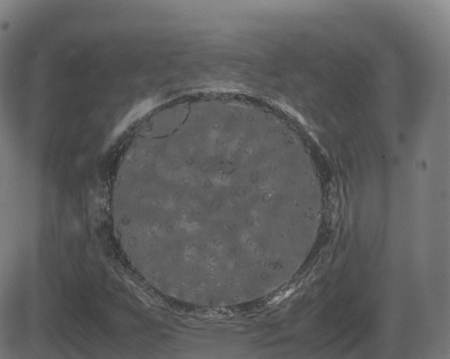 X0000081491255200701121501