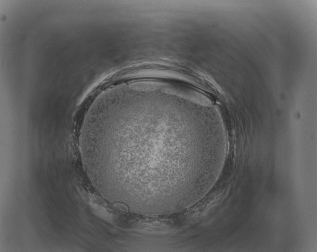 X0000081491256200701121501