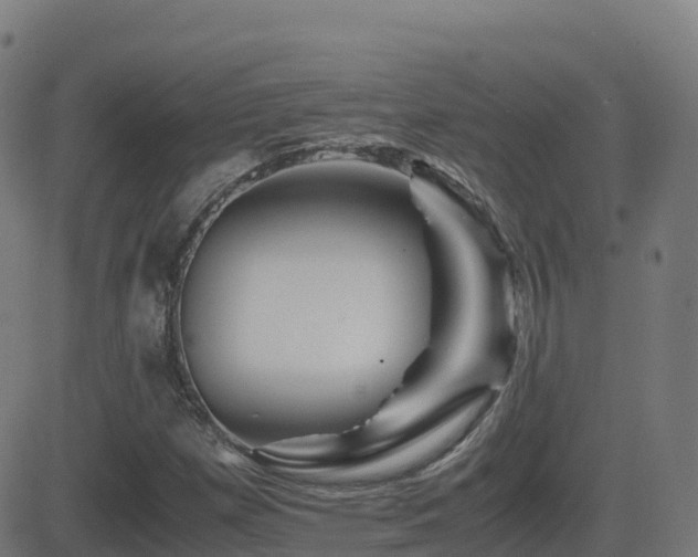 X0000081491257200701121501