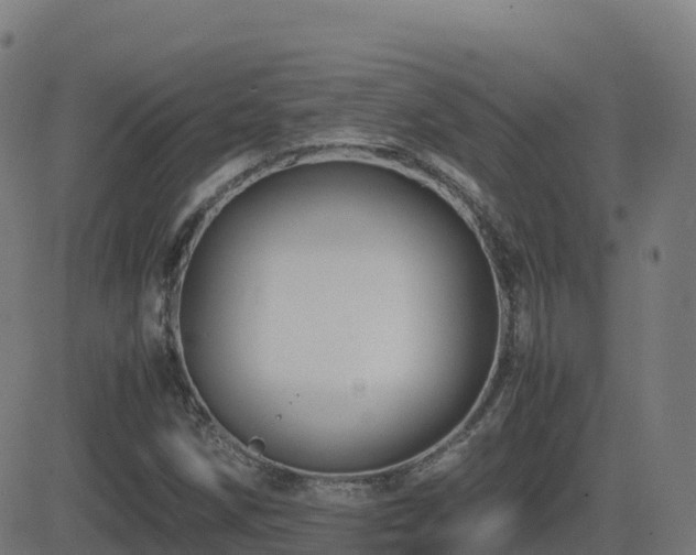 X0000081491258200701121501