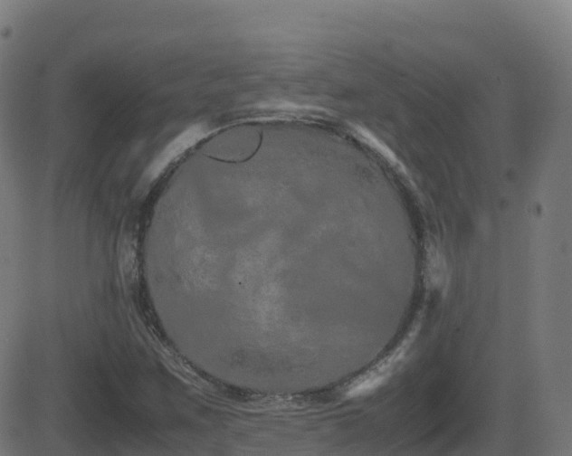 X0000081491259200701121501