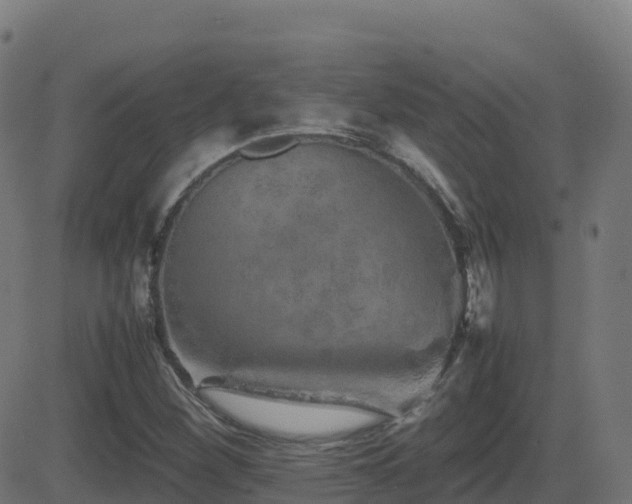 X0000081491260200701121501