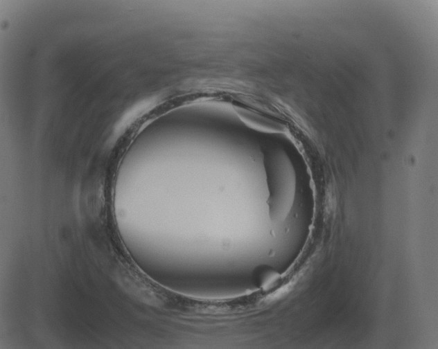 X0000081491261200701121501