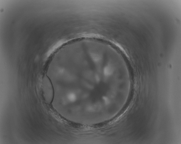 X0000081491263200701121501