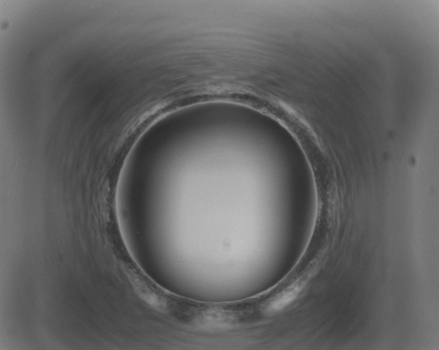 X0000081491265200701121501