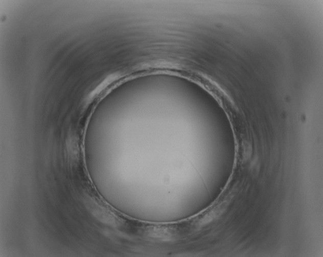 X0000081491266200701121501