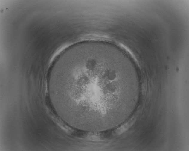 X0000081491267200701121501