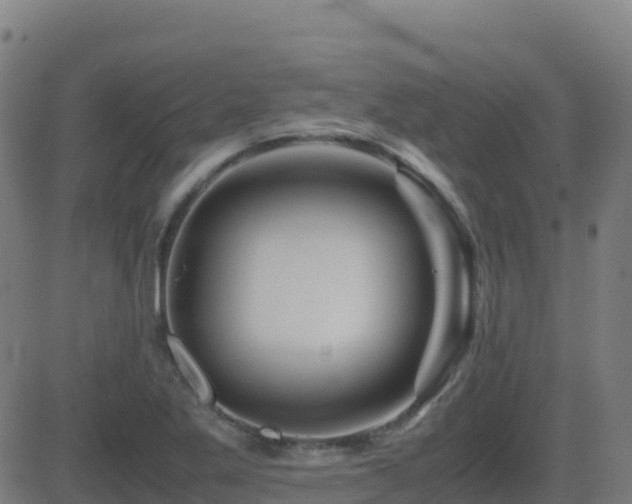 X0000081491269200701121501