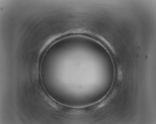 X0000081491270200701121501