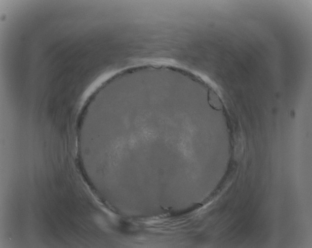 X0000081491271200701121501