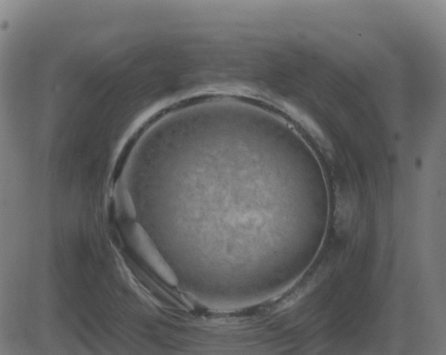 X0000081491272200701121501