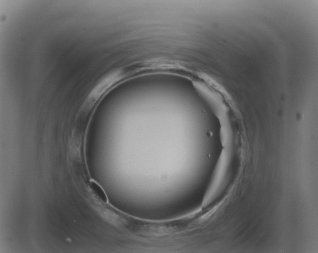 X0000081491273200701121501