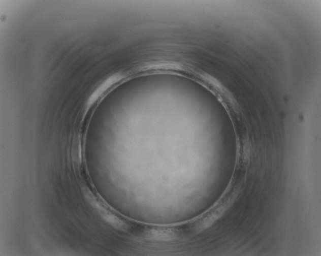 X0000081491274200701121501