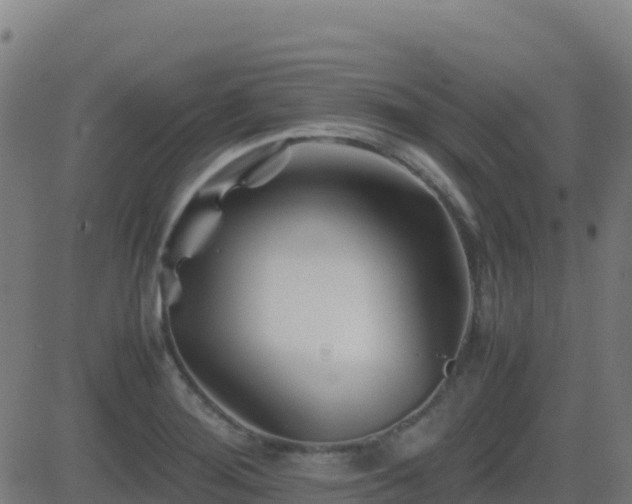 X0000081491276200701121501