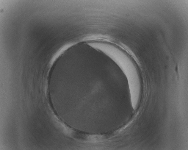 X0000081491277200701121501