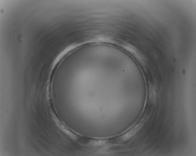 X0000081491278200701121501