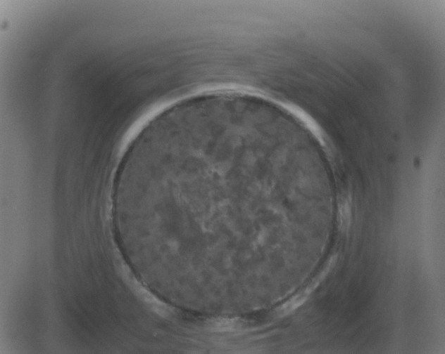 X0000081491279200701121501