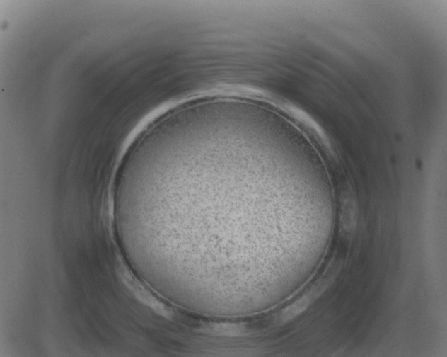 X0000081491280200701121501