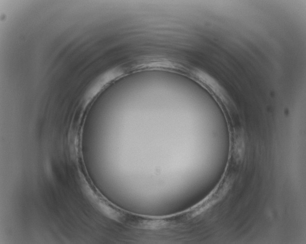 X0000081491282200701121501