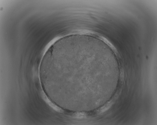 X0000081491283200701121501