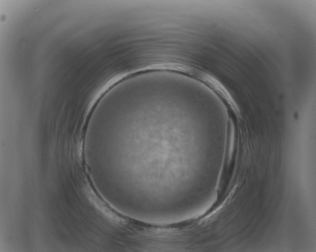 X0000081491284200701121501