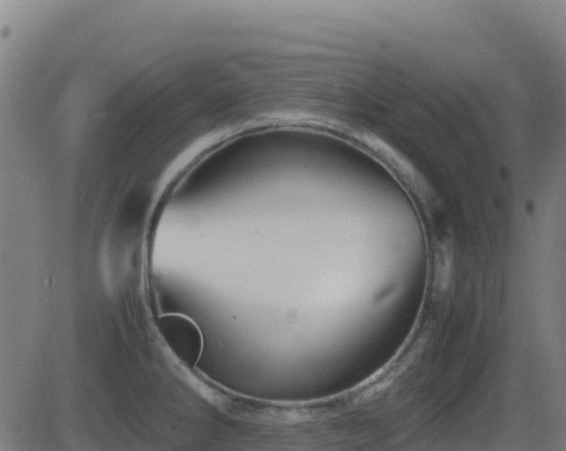 X0000081491286200701121500