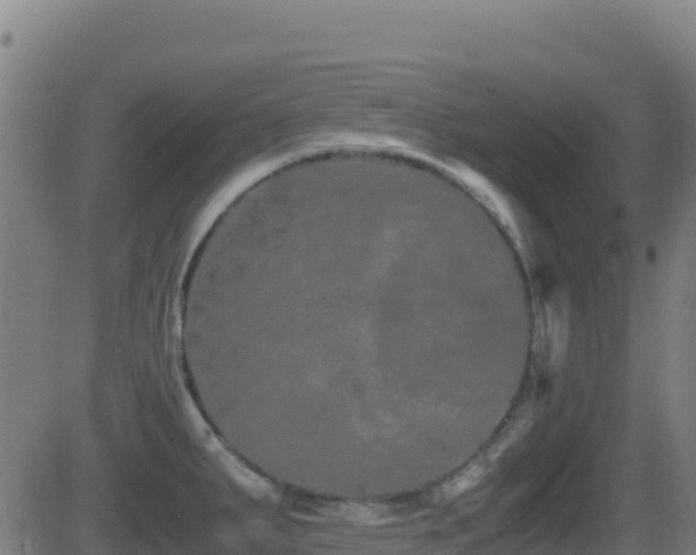 X0000081491287200701121500