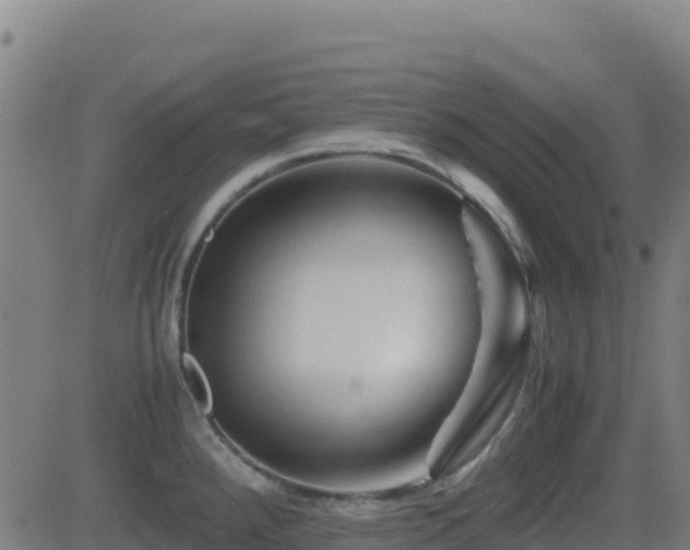 X0000081491288200701121500