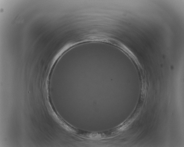 X0000081491291200701121500