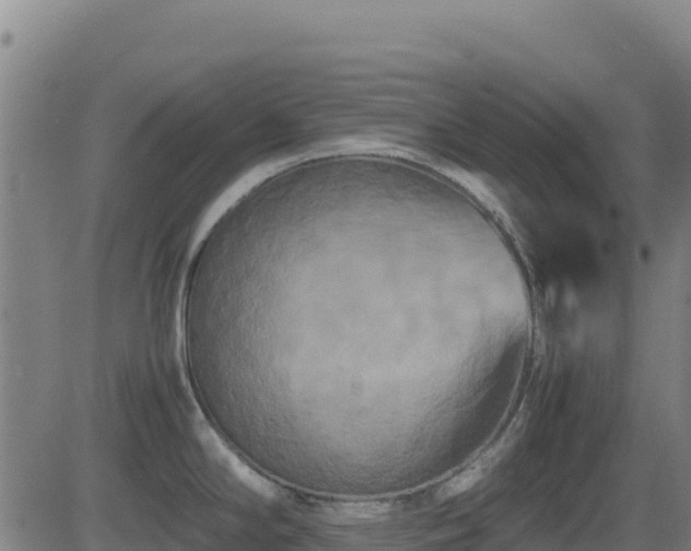 X0000081491294200701121500