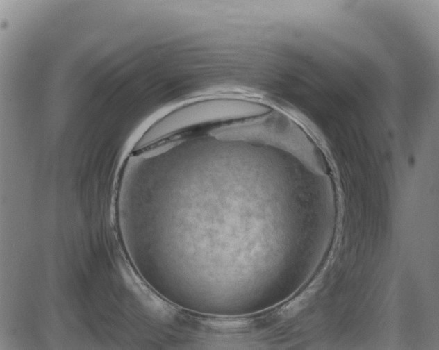 X0000081491296200701121500