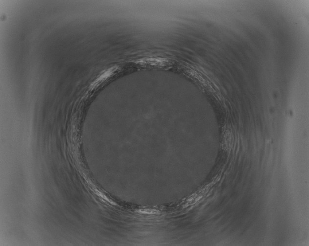 X0000081491297200701121500