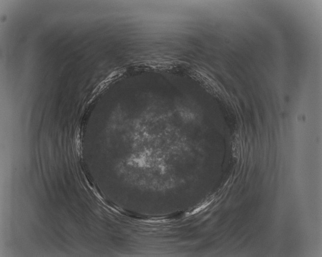 X0000081491298200701121500