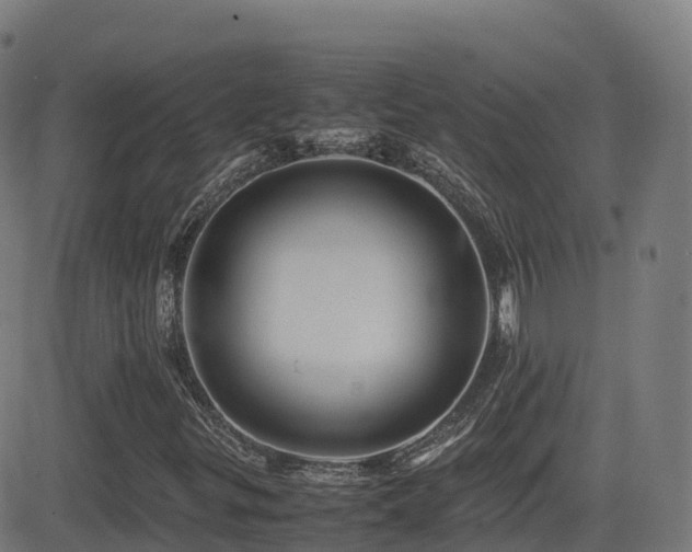 X0000081491299200701121500