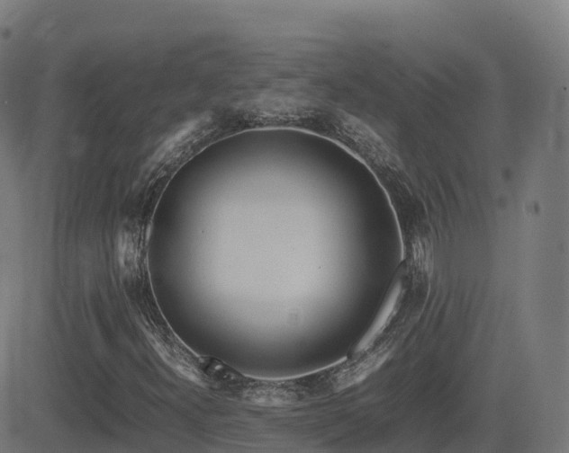 X0000081491300200701121500