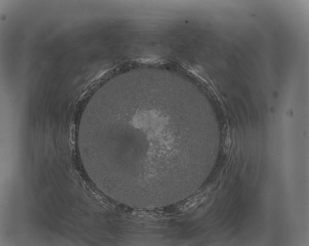 X0000081491301200701121500