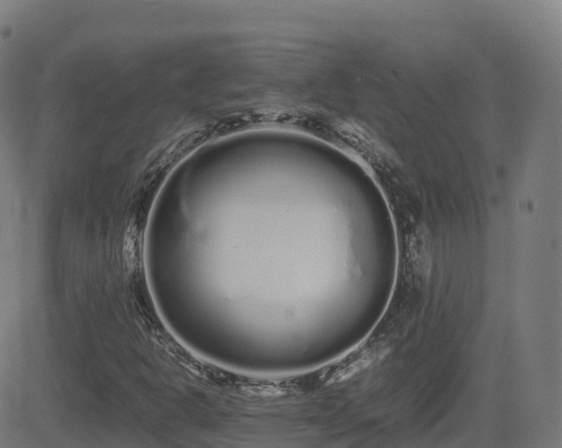 X0000081491302200701121500