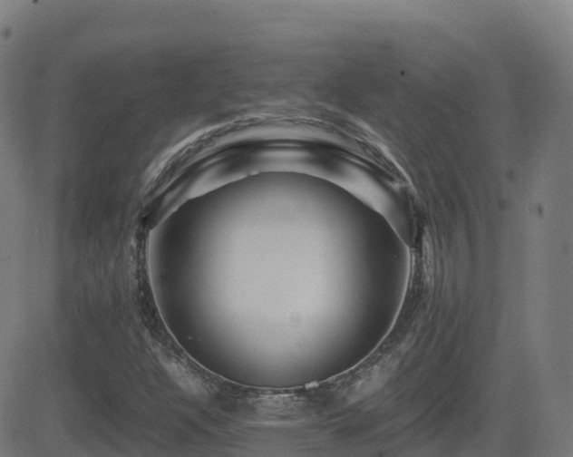 X0000081491304200701121500