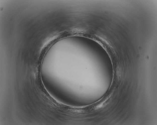 X0000081491309200701121500