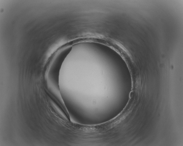 X0000081491310200701121500