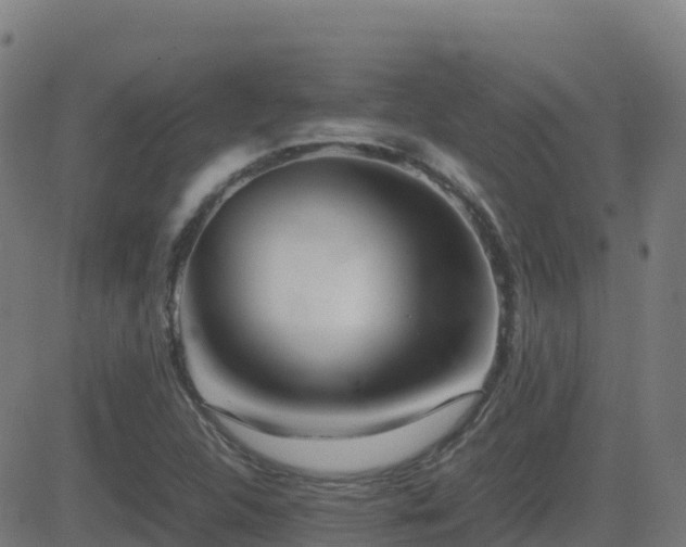 X0000081491312200701121500