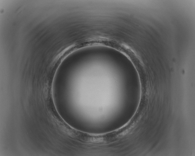 X0000081491313200701121500