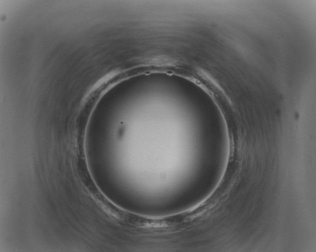 X0000081491315200701121500