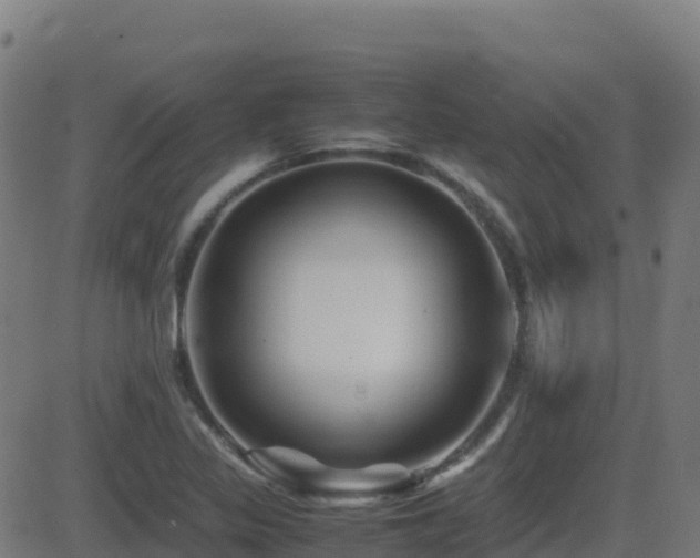 X0000081491317200701121500