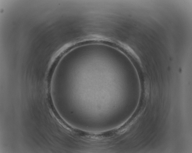 X0000081491318200701121500