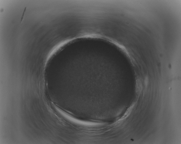 X0000081491319200701121500