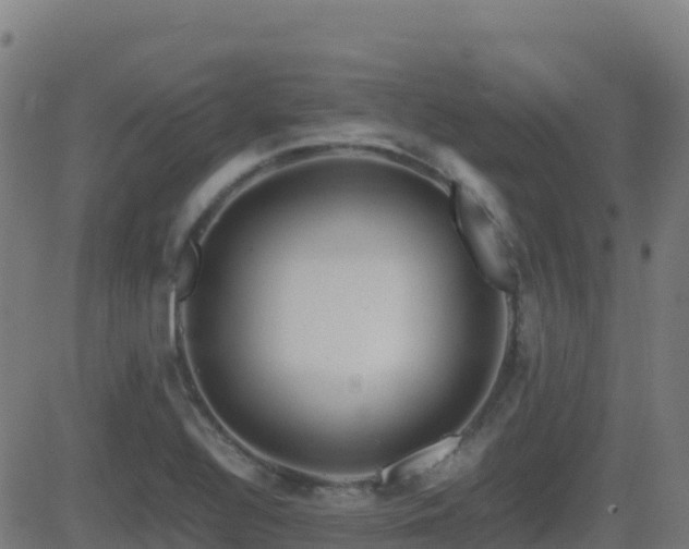 X0000081491320200701121500