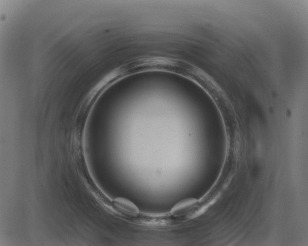 X0000081491321200701121500