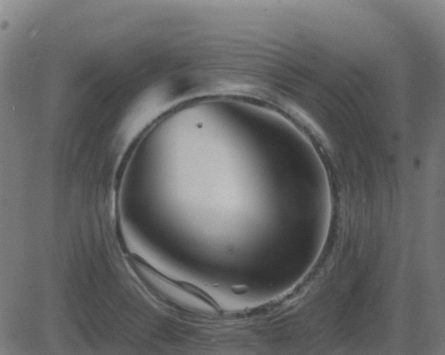 X0000081491324200701121500