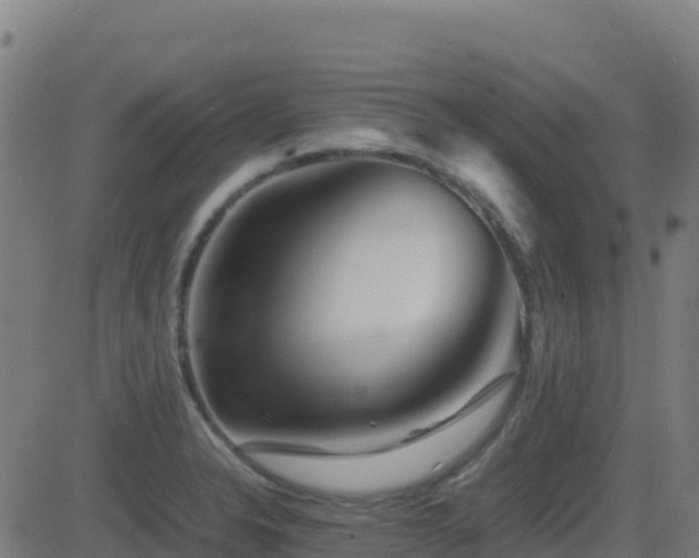 X0000081491326200701121500